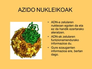 Atomoa | PPT
