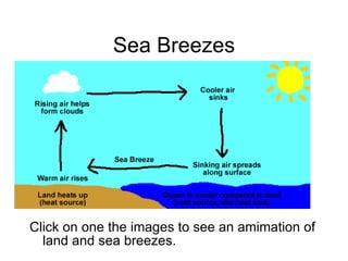 Click on one the images to see an amimation of land and sea breezes.  Sea Breezes 