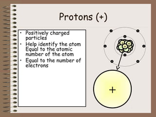 Protons (+)
• Positively charged
particles
• Help identify the atom
Equal to the atomic
number of the atom
• Equal to the number of
electrons
+
+
+
+
+
+
++
-
-
-
-
--
-
-
+
 