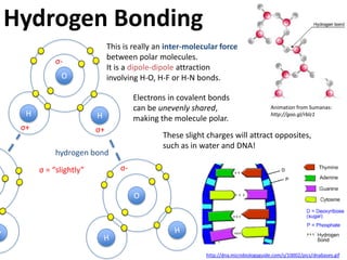 Covalent Bonding             Non-metals will share electrons
                             when they bond.




                             H O
           Oxygen follows the octet rule and needs eight valence
           electrons to be stable.
  H
       O
           Hydrogen follows the duet rule and needs two.
           It has one already, so will share it with oxygen.

           Now the hydrogen has a full valence shell…

           … but the oxygen is one short.
 