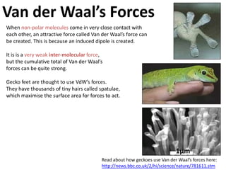 Carbon dioxide

                         C
           C



                     O       O

                 O
     O
 