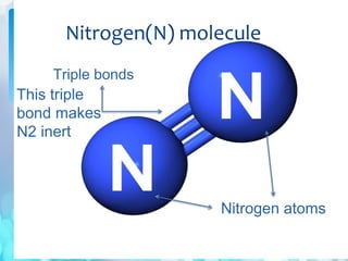 Triple bonds
Nitrogen(N) molecule
Nitrogen atoms
This triple
bond makes
N2 inert
 