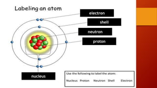 electron
shell
neutron
proton
nucleus
 