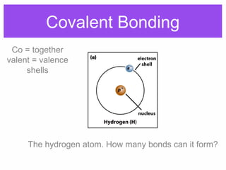 Covalent Bonding
Co = together
valent = valence
shells
The hydrogen atom. How many bonds can it form?
 