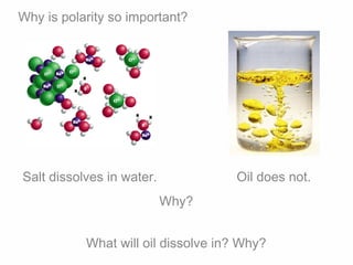 Why is polarity so important?
Salt dissolves in water. Oil does not.
Why?
What will oil dissolve in? Why?
 