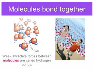 Molecules bond together
Weak attractive forces between
molecules are called hydrogen
bonds.
 