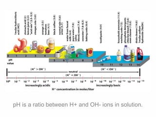 pH is a ratio between H+ and OH- ions in solution.
 