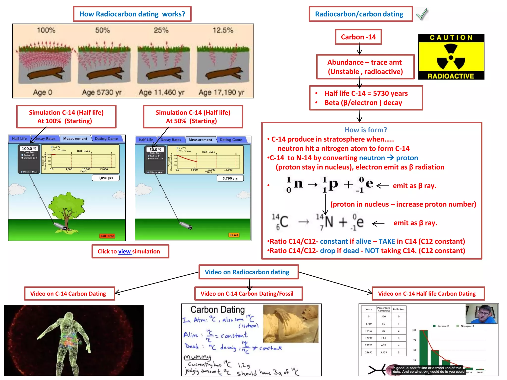 How Radiocarbon dating works?

Radiocarbon/carbon dating

Carbon -14
Abundance – trace amt
(Unstable , radioactive)
• Half life C-14 = 5730 years
• Beta (β/electron ) decay
Simulation C-14 (Half life)
At 100% (Starting)

Simulation C-14 (Half life)
At 50% (Starting)

How is form?
• C-14 produce in stratosphere when…..
neutron hit a nitrogen atom to form C-14
•C-14 to N-14 by converting neutron  proton
(proton stay in nucleus), electron emit as β radiation
•

emit as β ray.
(proton in nucleus – increase proton number)
emit as β ray.

Click to view simulation

•Ratio C14/C12- constant if alive – TAKE in C14 (C12 constant)
•Ratio C14/C12- drop if dead - NOT taking C14. (C12 constant)
Video on Radiocarbon dating

Video on C-14 Carbon Dating

Video on C-14 Carbon Dating/Fossil

Video on C-14 Half life Carbon Dating

 