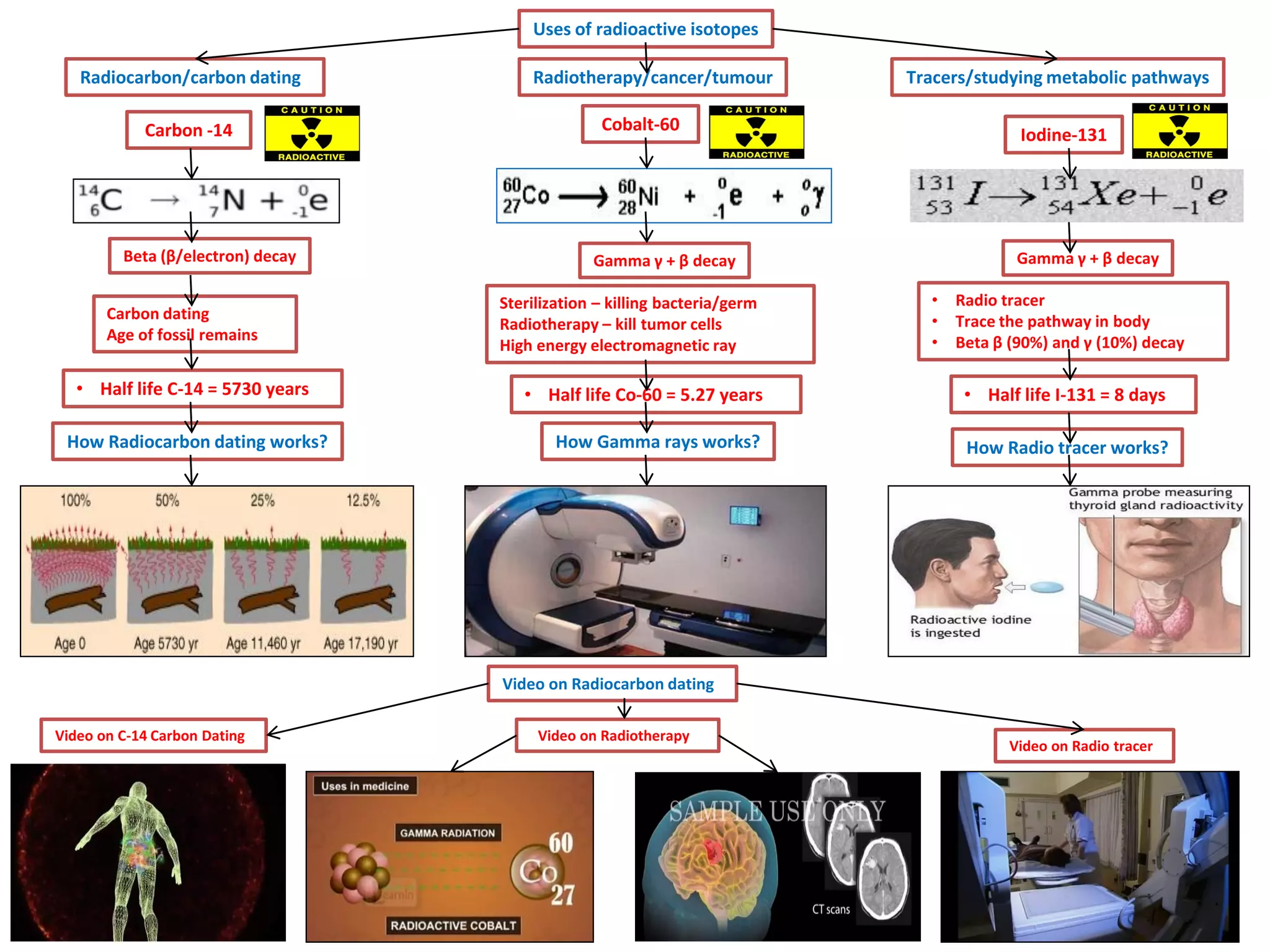 Uses of radioactive isotopes
Radiocarbon/carbon dating
Carbon -14

Beta (β/electron) decay
Carbon dating
Age of fossil remains

• Half life C-14 = 5730 years

How Radiocarbon dating works?

Radiotherapy/cancer/tumour

Tracers/studying metabolic pathways

Cobalt-60

Iodine-131

Gamma γ + β decay

Gamma γ + β decay
Sterilization – killing bacteria/germ
Radiotherapy – kill tumor cells
High energy electromagnetic ray

•
•
•

Radio tracer
Trace the pathway in body
Beta β (90%) and γ (10%) decay

• Half life Co-60 = 5.27 years

• Half life I-131 = 8 days

How Gamma rays works?

How Radio tracer works?

Video on Radiocarbon dating
Video on C-14 Carbon Dating

Video on Radiotherapy

Video on Radio tracer

 