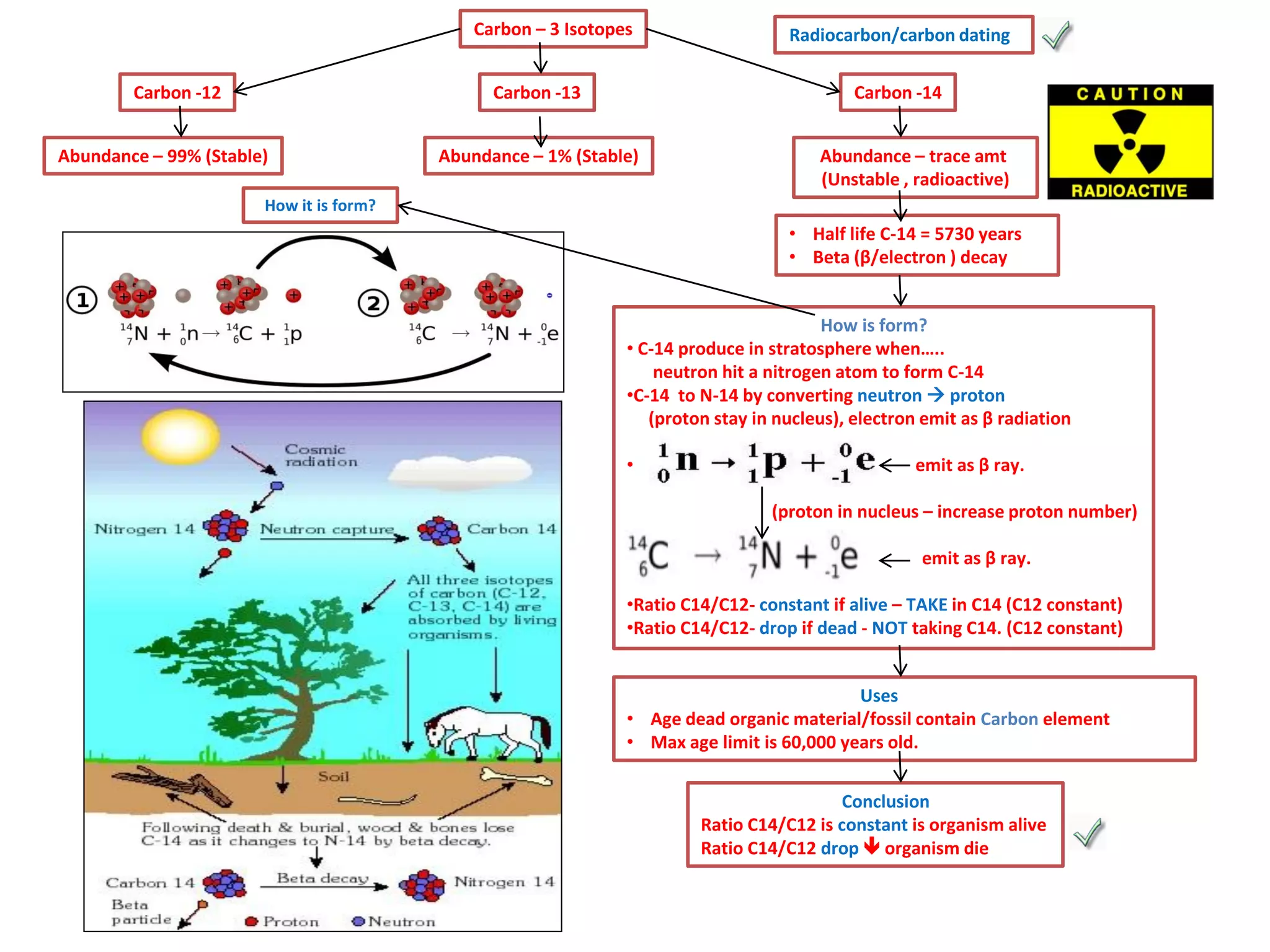 Carbon – 3 Isotopes

Carbon -12

Carbon -13

Abundance – 99% (Stable)

Radiocarbon/carbon dating

Carbon -14

Abundance – 1% (Stable)

Abundance – trace amt
(Unstable , radioactive)

How it is form?

• Half life C-14 = 5730 years
• Beta (β/electron ) decay

How is form?
• C-14 produce in stratosphere when…..
neutron hit a nitrogen atom to form C-14
•C-14 to N-14 by converting neutron  proton
(proton stay in nucleus), electron emit as β radiation
•

emit as β ray.
(proton in nucleus – increase proton number)
emit as β ray.

•Ratio C14/C12- constant if alive – TAKE in C14 (C12 constant)
•Ratio C14/C12- drop if dead - NOT taking C14. (C12 constant)
Uses
• Age dead organic material/fossil contain Carbon element
• Max age limit is 60,000 years old.

Conclusion
Ratio C14/C12 is constant is organism alive
Ratio C14/C12 drop  organism die

 