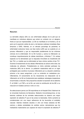 Resumen


Resumen


La dermatitis atópica (DA) es una enfermedad alérgica de la piel que se
manifiesta en individuos atópicos que entran en contacto con un alergeno
frente al cual son hipersensibles. La DA se manifiesta en el hombre y en el
perro por la aparición súbita de picor y de lesiones cutáneas inmediatas (fase
temprana o EAR). Además, en un elevado porcentaje de pacientes, la
enfermedad evoluciona hacia una fase tardía (LAR) que se sustenta en un
proceso inflamatorio y que es responsable posiblemente de los síntomas
crónicos de la enfermedad. En la DA humana y canina la inflamación se
constituye mayoritariamente de células dendríticas y linfocitos T. En ambas
especies se ha demostrado que la respuesta inmunitaria es inicialmente del
tipo Th2 y a medida que la enfermedad se hace crónica cambia al tipo Th1.
Durante el reclutamiento de las células inflamatorias se activan entre otras, las
moléculas de adhesión. Probablemente en dicha actividad participan los
mastocitos (MC) de la dermis. La población mastocitaria está en un lugar
privilegiado para coordinar el proceso inflamatorio por su situación anatómica
próxima a los vasos sanguíneos y por su contenido en mediadores pro-
inflamatorios. El conocimiento de los mecanismos de instauración de la
inflamación en la DA es fundamental para establecer estrategias terapéuticas
encaminadas a reducirla. Nos propusimos estudiar la expresión de la selectina
P, el ICAM-1 y el TNF-α en la DA, así como la contribución de los MC a su
inducción en modelos caninos in vitro e in vivo.


Se seleccionaron perros con DA espontánea en el Hospital Clínic Veterinari de
la Universitat Autònoma de Barcelona. Mediante inmunohistoquímica, en las
lesiones cutáneas de los animales seleccionados se observó una mayor
expresión de selectina P que en las zonas no lesionadas. Dicho aumento se
correlacionaba con una mayor adherencia de los leucocitos al endotelio
vascular. Además mediante estudios in vitro con líneas celulares de MC
caninos y células endoteliales de carótida canina, demostramos que los
mediadores mastocitarios son capaces de inducir la expresión de selectina P


                                       1
 
