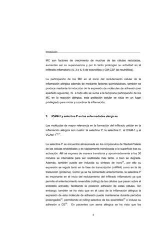 Introducción



MC son factores de crecimiento de muchas de las células reclutadas,
aumentan así su supervivencia y por lo tanto prolongan su actividad en el
infiltrado inflamatorio (IL-3 e IL-5 de eosinófilos y GM-CSF de neutrófilos).


La participación de los MC en el inicio del reclutamiento celular de la
inflamación alérgica además de mediante factores quimiotácticos, también se
produce mediante la inducción de la expresión de moléculas de adhesión (ver
apartado siguiente). Si a todo ello se suma a la temprana participación de los
MC en la reacción alérgica, esta población celular se sitúa en un lugar
privilegiado para iniciar y coordinar la inflamación.




3    ICAM-1 y selectina P en las enfermedades alérgicas


Las moléculas de mayor relevancia en la formación del infiltrado celular en la
inflamación alérgica son cuatro: la selectina P, la selectina E, el ICAM-1 y el
VCAM-119-21.


La selectina P se encuentra almacenada en los corpúsculos de Weibel-Palade
de las células endoteliales y es rápidamente translocada a la superficie tras su
activación. Allí se expresa de manera transitoria y aproximadamente a los 30
minutos se internaliza para ser reutilizada más tarde, o bien se degrada.
Además, también puede ser inducida su síntesis de novo22, por ello su
expresión se regula tanto en la fase de transcripción (mRNA) como en la de
traducción (proteína). Como ya se ha comentado anteriormente, la selectina P
es importante en el inicio del reclutamiento del infiltrado inflamatorio ya que
permite el enlentecimiento reversible (rolling) de las células que pasan sobre el
endotelio activado, facilitando la posterior adhesión de estas células. Sin
embargo, también se ha visto que en el caso de la inflamación alérgica la
expresión de esta molécula de adhesión puede mantenerse durante períodos
prolongados23, permitiendo el rolling selectivo de los eosinófilos24 o incluso su
adhesión a CE25.      En pacientes con asma alérgica se ha visto que los


                                         8
 
