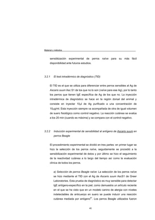 Material y métodos



     sensiblización   experimental   de      perros   naïve   para   su   más   fácil
     disponibilidad ante futuros estudios.




3.2.1    El test intradérmico de diagnóstico (TID)


     El TID es el que se utiliza para diferenciar entre perros sensibles al Ag de
     Ascaris suum Asc S1 de los que no lo son (naïve para ese Ag), por lo tanto
     los perros que tienen IgE específica de Ag de los que no. La inyección
     intradérmica de diagnóstico se hace en la región dorsal del animal y
     consiste en inyectar 10µl de Ag purificado a una concentración de
     10µg/ml. Esta inyección siempre va acompañada de otra de igual volumen
     de suero fisiológico como control negativo. La reacción cutánea se evalúa
     a los 20 min (cuando es máxima) y se compara con el control negativo.




3.2.2    Inducción experimental de sensibilidad al antígeno de Ascaris suum en
         perros Beagle


     El procedimiento experimental se dividió en tres partes: en primer lugar se
     hizo la selección de los perros naïve, seguidamente se procedió a la
     sensibilización experimental de éstos y por último se hizo el seguimiento
     de la reactividad cutánea a lo largo del tiempo así como la evaluación
     clínica de todos los perros.


         a) Selección de perros Beagle naïve: La selección de los perros naïve
         se hizo mediante el TID con el Ag de Ascaris suum AscS1 de Greer
         Laboratories. Esta prueba de diagnóstico es muy sensible para detectar
         IgE antígeno-específico en la piel, como demuestra un artículo reciente
         en el que se ha visto que en un modelo canino de alergia con niveles
         indetectables de anticuerpo en suero se puede inducir una reacción
         cutánea mediada por antígeno91. Los perros Beagle utilizados fueron


                                        40
 