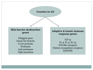Genetics in AD
Skin barrier dysfunction
genes
Filaggrin gene
Genes for loricrin
S 100 proteins
Proteases
Anti-proteases
Tight junctions
Adaptive & innate immune
response genes
CD 14
IL-4, IL-5, IL-13
Toll-like recepters
Pattern recognition receptors
RANTES
 
