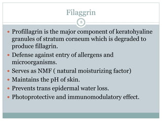 Filaggrin
8
 Profillagrin is the major component of keratohyaline
granules of stratum corneum which is degraded to
produce fillagrin.
 Defense against entry of allergens and
microorganisms.
 Serves as NMF ( natural moisturizing factor)
 Maintains the pH of skin.
 Prevents trans epidermal water loss.
 Photoprotective and immunomodulatory effect.
 
