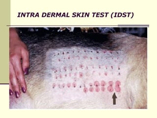 Atopic dermatitis-rev 2018.ppt............................ | PPT