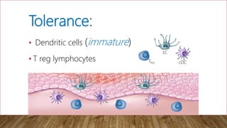 Effector cell network:
• Keratinocytes
• Th lymphocytes
• Tc lymphocytes
• Macrophages
• Granulocytes
• B
lymphocytes
• Ma...