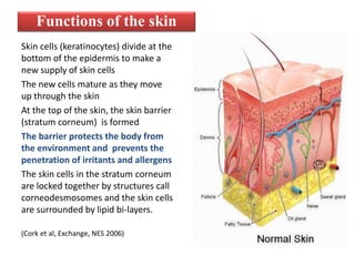 Atopic dermatitis in children | PPTX