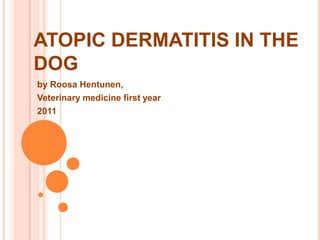 ATOPIC DERMATITIS IN THE
DOG
by Roosa Hentunen,
Veterinary medicine first year
2011
 