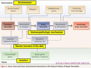 Genetics
Barrier function of the skin
Immunopathologic mechanism
Environment
 