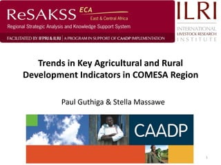 Trends in Key Agricultural and Rural
Development Indicators in COMESA Region

        Paul Guthiga & Stella Massawe
                ReSAKSS ECA




                                          1
 