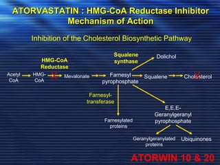ATORVASTATIN : HHMMGG--CCooAA RReedduuccttaassee IInnhhiibbiittoorr 
MMeecchhaanniissmm ooff AAccttiioonn 
Acetyl 
CoA 
Inhibition of the Cholesterol Biosynthetic Pathway 
HMG-CoA 
Mevalonate Farnesyl 
pyrophosphate 
Squalene Cholesterol 
Squalene 
synthase 
Dolichol 
Farnesyl-transferase 
Farnesylated 
proteins 
E,E,E-Geranylgeranyl 
pyrophosphate 
Geranylgeranylated 
proteins 
Ubiquinones 
HMG-CoA 
Reductase 
ATORWIN 10 & 20 
 