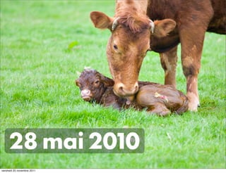 28 mai 2010
vendredi 25 novembre 2011
 