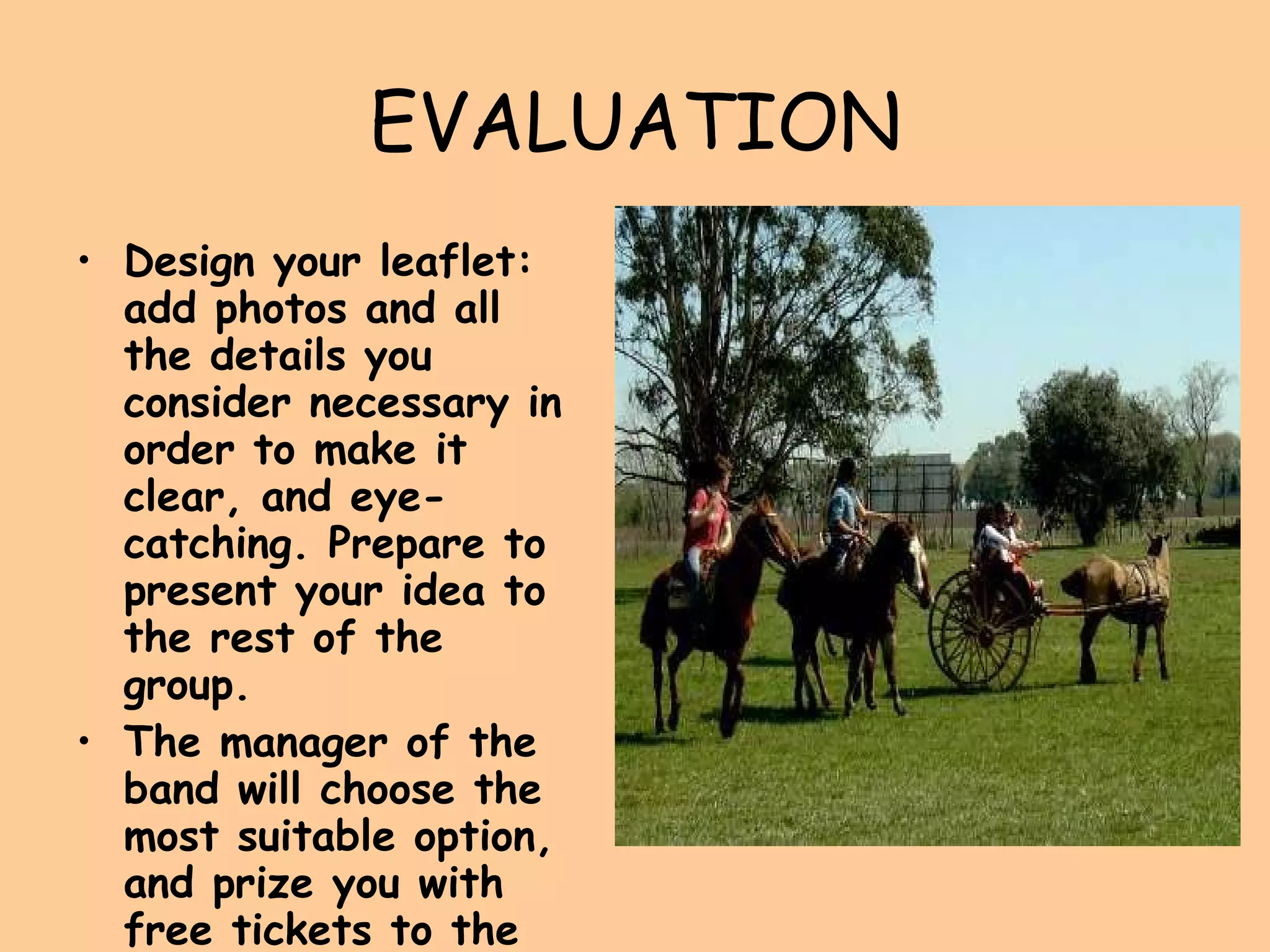 EVALUATION Design your leaflet: add photos and all the details you consider necessary in order to make it clear, and eye-catching. Prepare to present your idea to the rest of the group. The manager of the band will choose the most suitable option, and prize you with free tickets to the shows of the band, plus advertising of your work. 