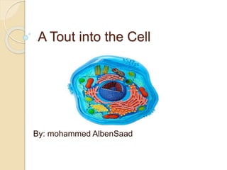 A Tout into the Cell
By: mohammed AlbenSaad
 