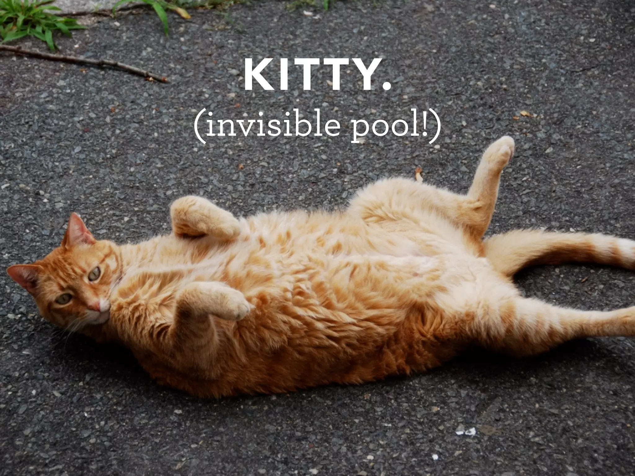 WDE08 BULLETPROOF A to Z