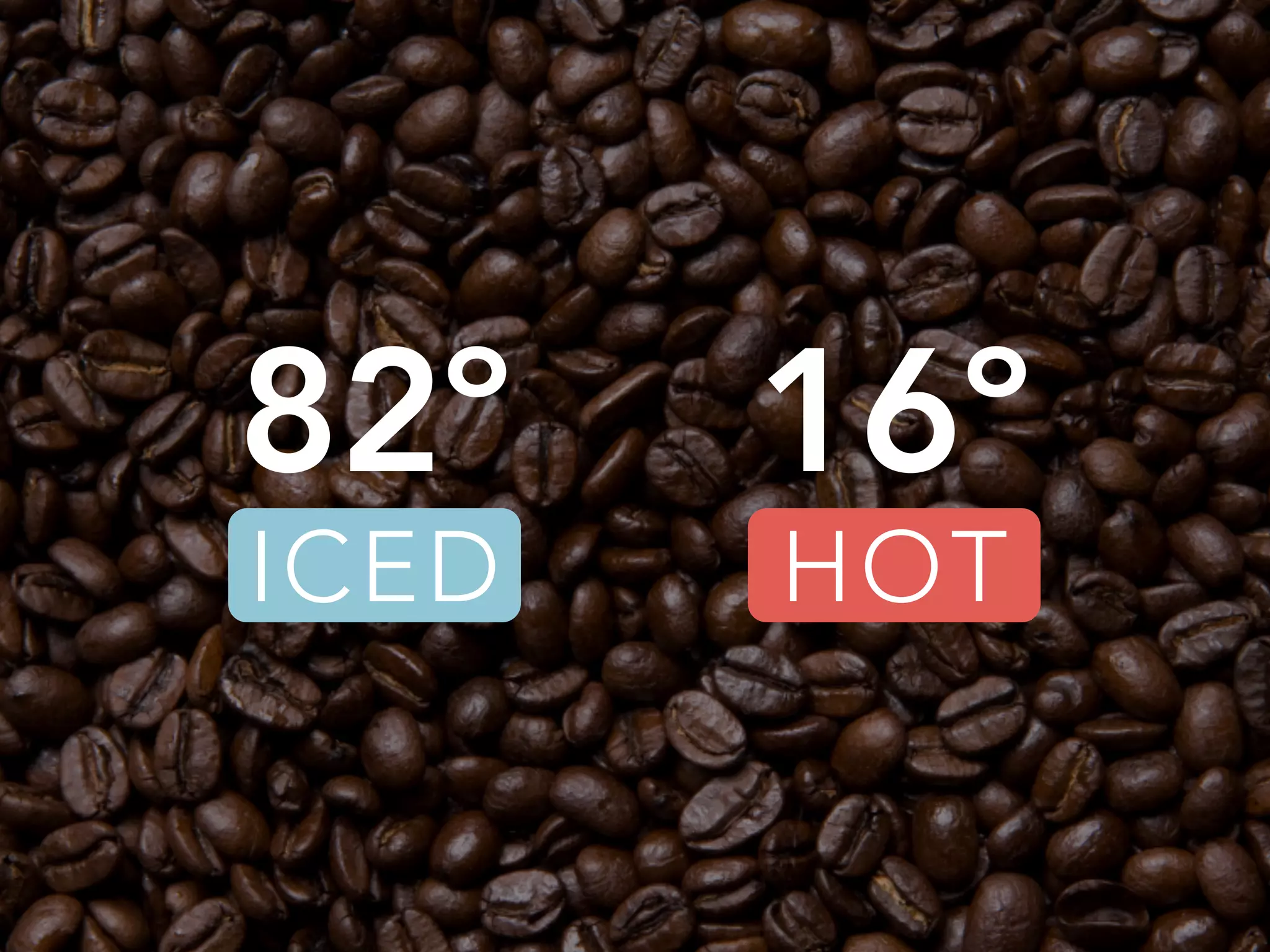 WDE08 BULLETPROOF A to Z