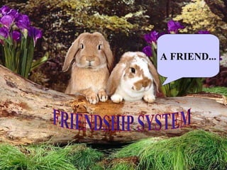 FRIENDSHIP SYSTEM A FRIEND... 