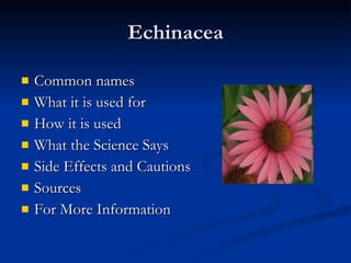 Echinacea Common names What it is used for How it is used  What the Science Says  Side Effects and Cautions Sources For More Information 