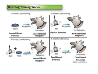 Techniquesin behaviorism
Some of the techniques used by behavior analysts include:
1. Chaining: This behavior techniques i...
