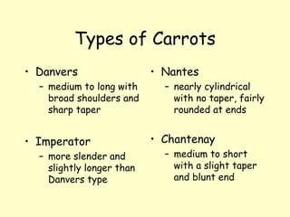 Types of Carrots Danvers medium to long with broad shoulders and sharp taper Imperator more slender and slightly longer than Danvers type Nantes nearly cylindrical with no taper, fairly rounded at ends Chantenay medium to short with a slight taper and blunt end 