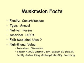 Muskmelon Facts Family:  Cucurbitaceae Type:  Annual Native:  Persia America:  1400s Folk Medicinal Use: ? Nutritional Value: 1/4 melon =  50 calories Vitamin A 100% Vitamin C 80%  Calcium 2% Iron 2% Fat 0g  Sodium 25mg  Carbohydrates 12g  Protein 1g 