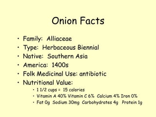 Onion Facts Family:  Alliaceae Type:  Herbaceous Biennial Native:  Southern Asia America:  1400s Folk Medicinal Use: antibiotic Nutritional Value:  1 1/2 cups =  15 calories Vitamin A 40% Vitamin C 6%  Calcium 4% Iron 0% Fat 0g  Sodium 30mg  Carbohydrates 4g  Protein 1g 