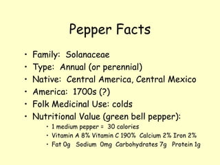 Pepper Facts Family:  Solanaceae Type:  Annual (or perennial) Native:  Central America, Central Mexico America:  1700s (?) Folk Medicinal Use: colds Nutritional Value (green bell pepper):  1 medium pepper =  30 calories Vitamin A 8% Vitamin C 190%  Calcium 2% Iron 2% Fat 0g  Sodium  0mg  Carbohydrates 7g  Protein 1g 