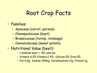 Root Crop Facts Families:  Apiaceae (carrot, parsnip) Chenopodiaceae (beet) Brassicaceae (turnip, rutabaga)  Convolvulaceae (sweet potato) Nutritional Value (beet):  1 medium beet =  50 calories Vitamin A 0% Vitamin C 4%  Calcium 0% Iron 0% Fat 0.5g  Sodium 150mg  Carbohydrate 11g  Protein 1g 