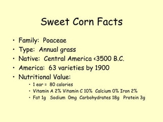 Sweet Corn Facts Family:  Poaceae Type:  Annual grass Native:  Central America <3500 B.C. America:  63 varieties by 1900 Nutritional Value:  1 ear =  80 calories Vitamin A 2% Vitamin C 10%  Calcium 0% Iron 2% Fat 1g  Sodium  0mg  Carbohydrates 18g  Protein 3g 