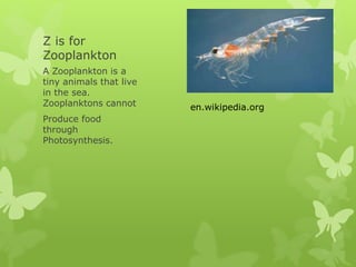 Z is for
Zooplankton
A Zooplankton is a
tiny animals that live
in the sea.
Zooplanktons cannot
Produce food
through
Photosynthesis.
en.wikipedia.org
 