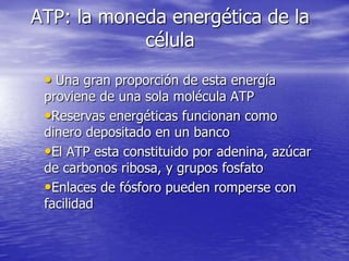 ATP: la moneda energética de la célula ,[object Object]