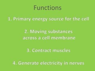 Functions1. Primary energy source for the cell2. Moving substances across a cell membrane3. Contract muscles4. Generate electricity in nerves