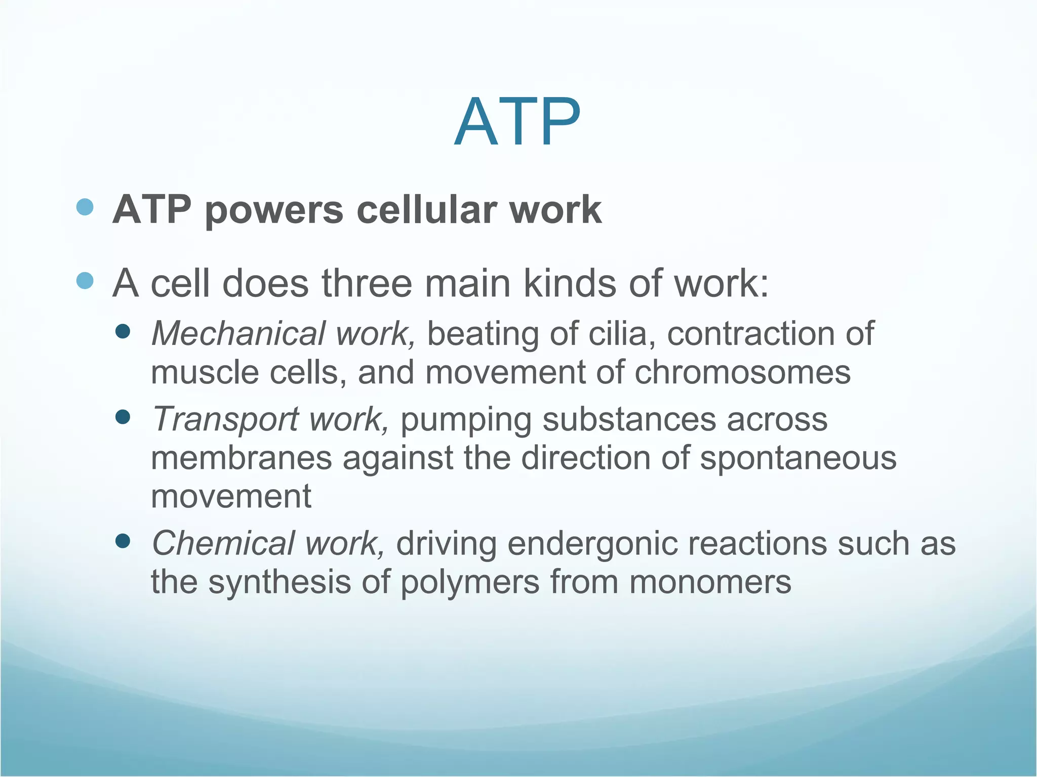ATP ATP powers cellular work A cell does three main kinds of work: Mechanical work, beating of cilia, contraction of muscle cells, and movement of chromosomes Transport work, pumping substances across membranes against the direction of spontaneous movement Chemical work, driving endergonic reactions such as the synthesis of polymers from monomers