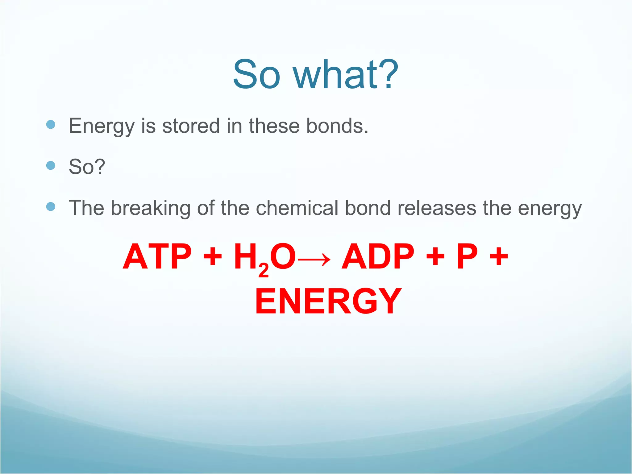 So what? Energy is stored in these bonds. So? The breaking of the chemical bond releases the energy ATP + H 2 O -> ADP + P + ENERGY