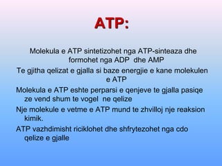 ATP:
    Molekula e ATP sintetizohet nga ATP-sinteaza dhe
                 formohet nga ADP dhe AMP
Te gjitha qelizat e gjalla si baze energjie e kane molekulen
                               e ATP
Molekula e ATP eshte perparsi e qenjeve te gjalla pasiqe
  ze vend shum te vogel ne qelize
Nje molekule e vetme e ATP mund te zhvilloj nje reaksion
  kimik.
ATP vazhdimisht riciklohet dhe shfrytezohet nga cdo
  qelize e gjalle
 