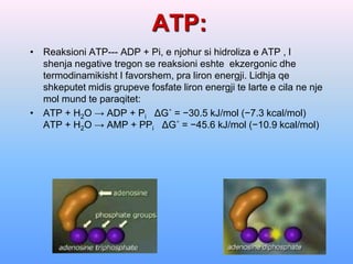 ATP:
• Reaksioni ATP--- ADP + Pi, e njohur si hidroliza e ATP , l
  shenja negative tregon se reaksioni eshte ekzergonic dhe
  termodinamikisht I favorshem, pra liron energji. Lidhja qe
  shkeputet midis grupeve fosfate liron energji te larte e cila ne nje
  mol mund te paraqitet:
• ATP + H2O → ADP + Pi ΔG˚ = −30.5 kJ/mol (−7.3 kcal/mol)
  ATP + H2O → AMP + PPi ΔG˚ = −45.6 kJ/mol (−10.9 kcal/mol)
 