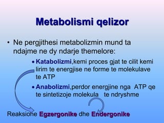 Metabolismi qelizor
• Ne pergjithesi metabolizmin mund ta
  ndajme ne dy ndarje themelore:
        Katabolizmi,kemi proces gjat te cilit kemi
         lirim te energjise ne forme te molekulave
         te ATP
        Anabolizmi,perdor energjine nga ATP qe
         te sintetizoje molekula te ndryshme


Reaksione Egzergonike dhe Endergonike
 
