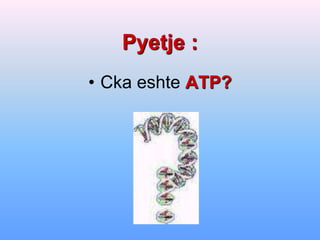 Pyetje :
• Cka eshte ATP?
 