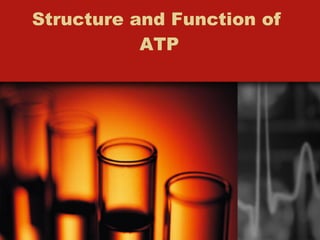 Structure and Function of  ATP 
